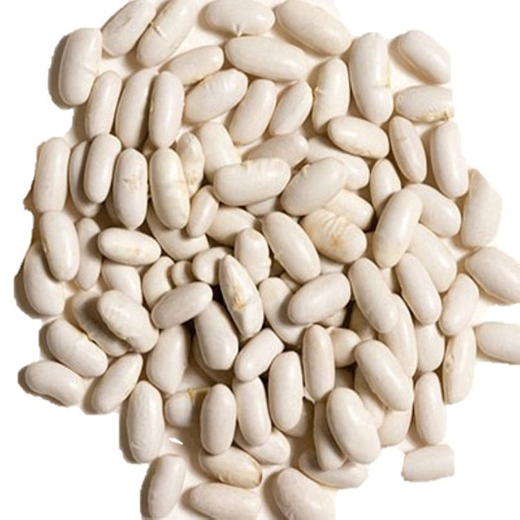 Aiva Cannellini Beans White Kidney Beans 40 lb / 640 oz