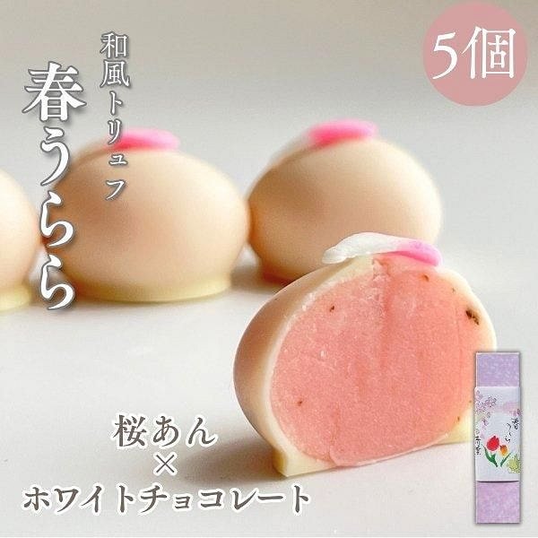 坂根屋 春うらら桜のチョコレート 5個入 1 箱 (min 2)