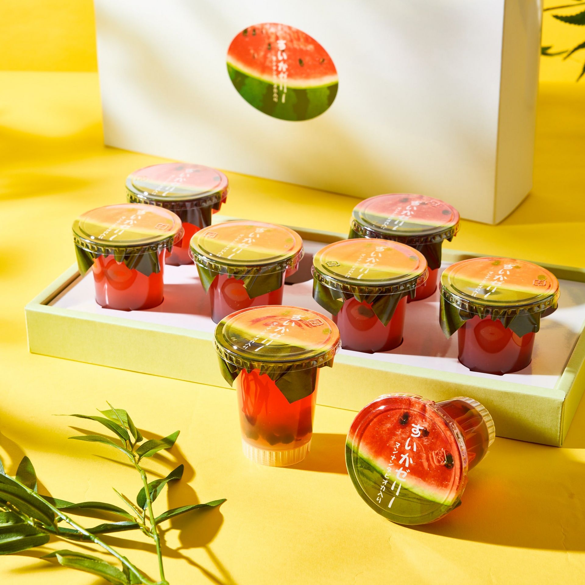 Watermelon Jelly (8 pieces) 1323 그램