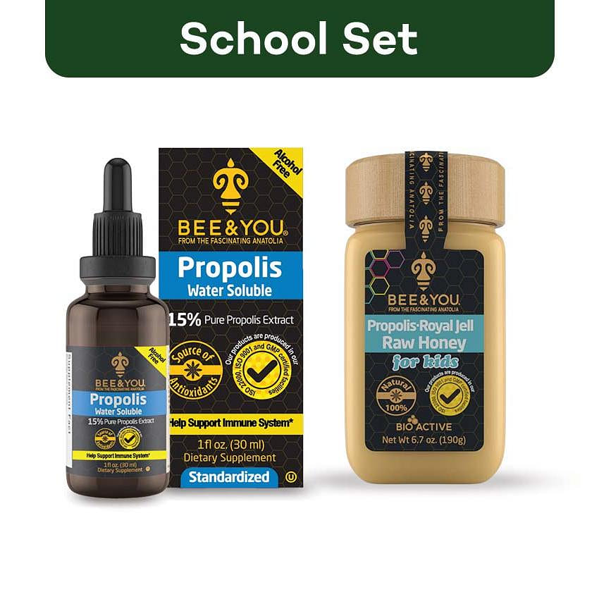 School Set 1 box