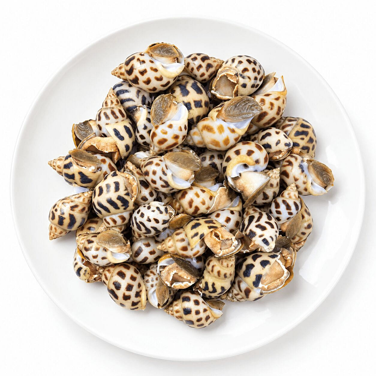 Frozen Semi-cooked Vietnamese Sweet Snails 2 lb