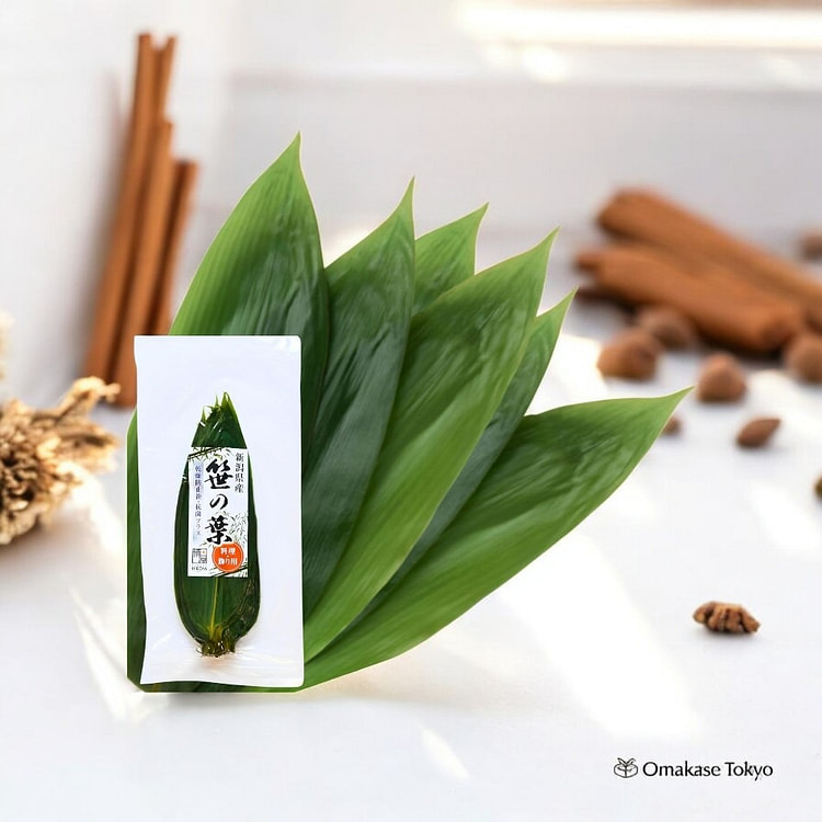 新潟县产的白屋竹叶