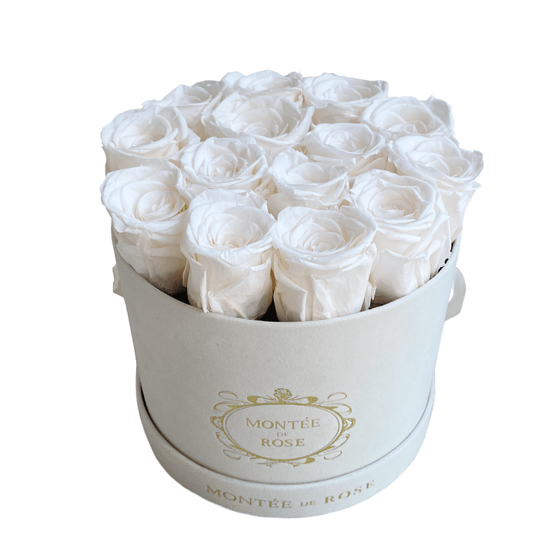 Suede Ivory Medium Round Pure White 1 each