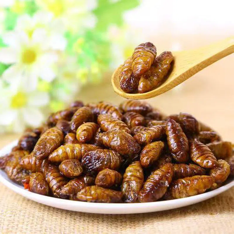 Crispy silkworm pupae 70g*1 bag 70 g