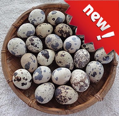 Get Quail Eggs 15ct 1 box Delivered | Weee! Asian Market
