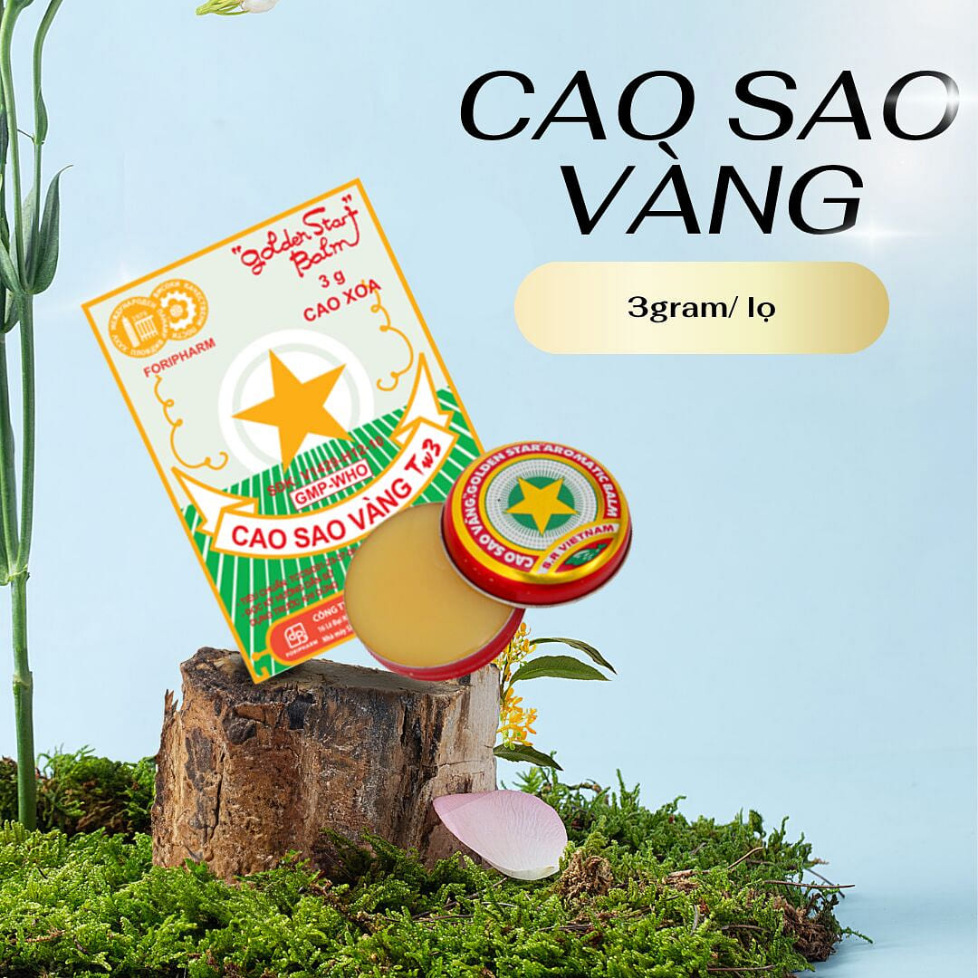 Vietnam Golden Star Ointment 3 g