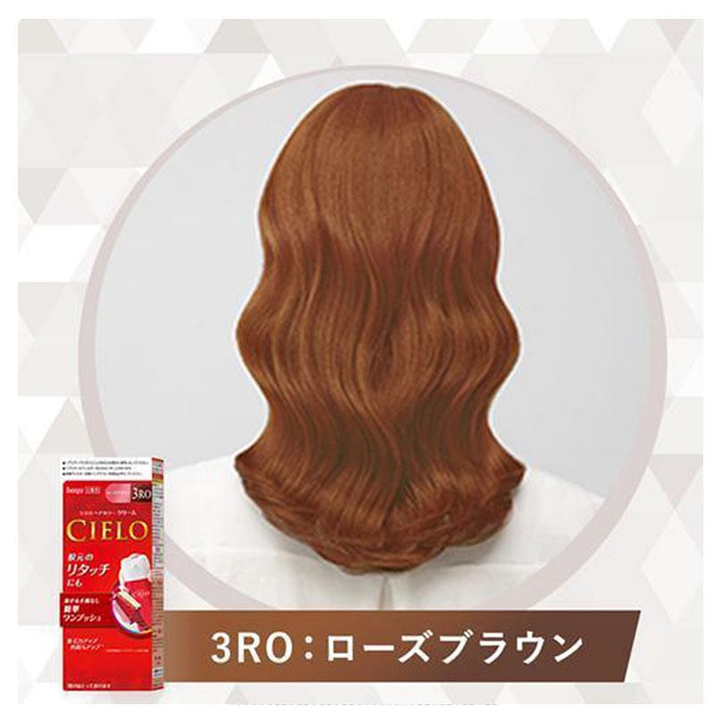 Hair Color EX Cream 3RO Rose Brown 1 each