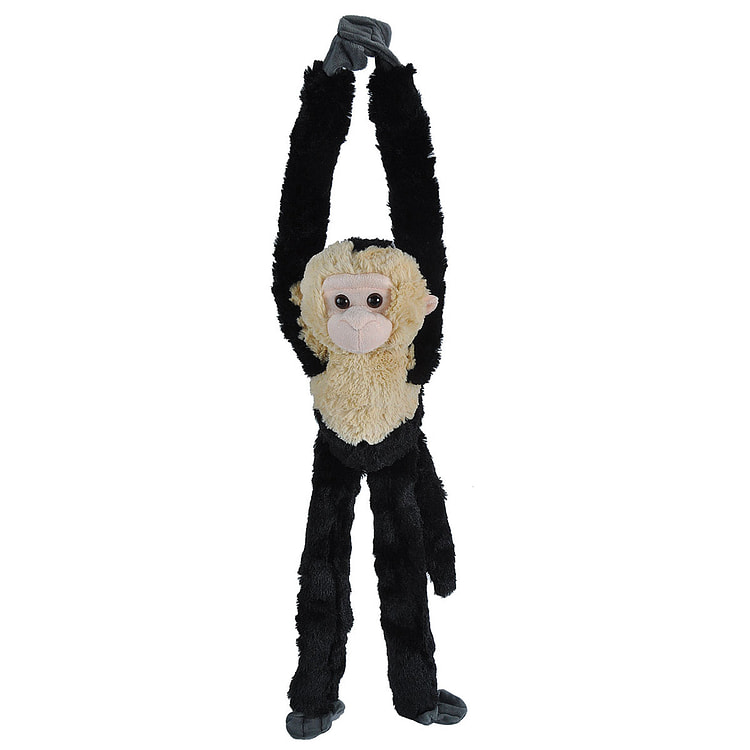 Hanging Capuchin - 20" Default