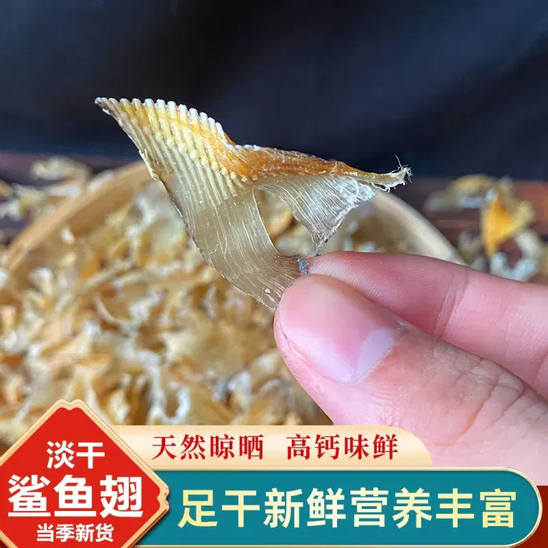 Shark fin, dried seafood, shark fin 15 g