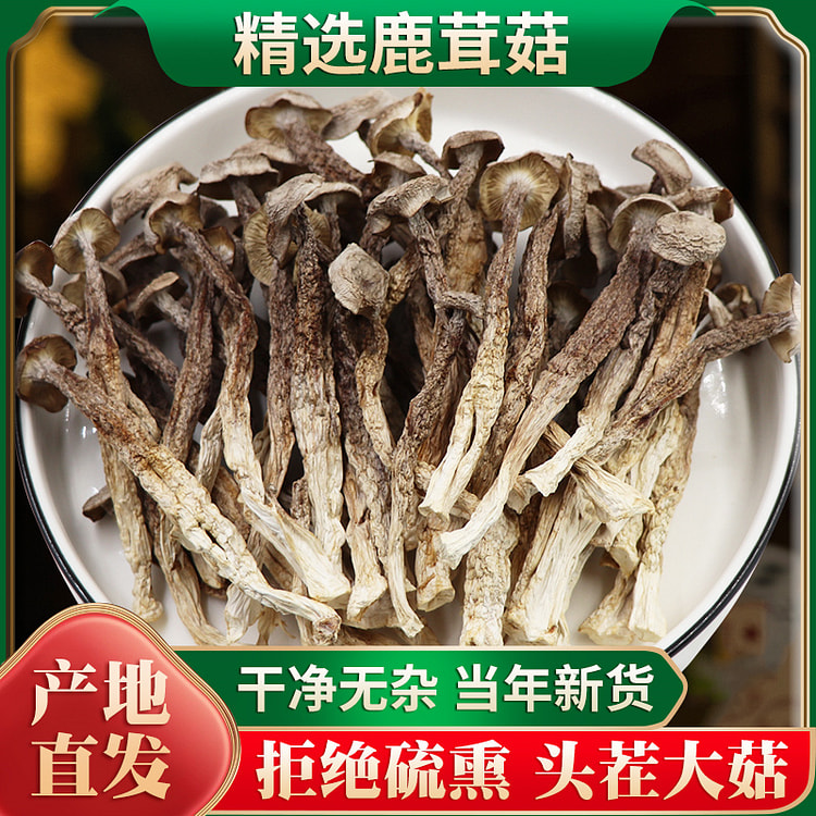 鹿茸菇干货100g*1袋