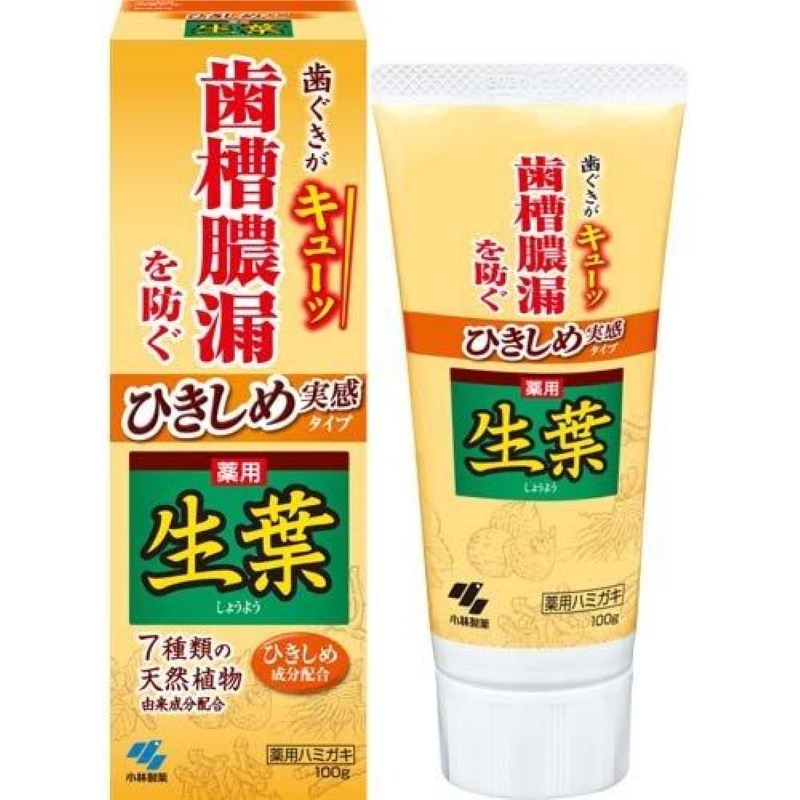 【日本直邮】日本KOBAYASHI 小林制药 生叶天然植物牙膏 有效防止牙周炎 清新口气 黄色装 100g - Weee!