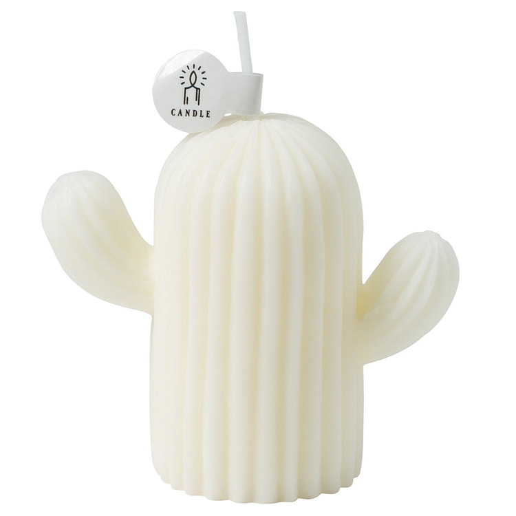 Home Cactus Scented Candle - White 1 each