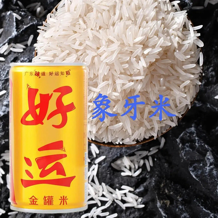 【金罐米】严选当季新大米象牙粘长粒香300g*2罐 600 克