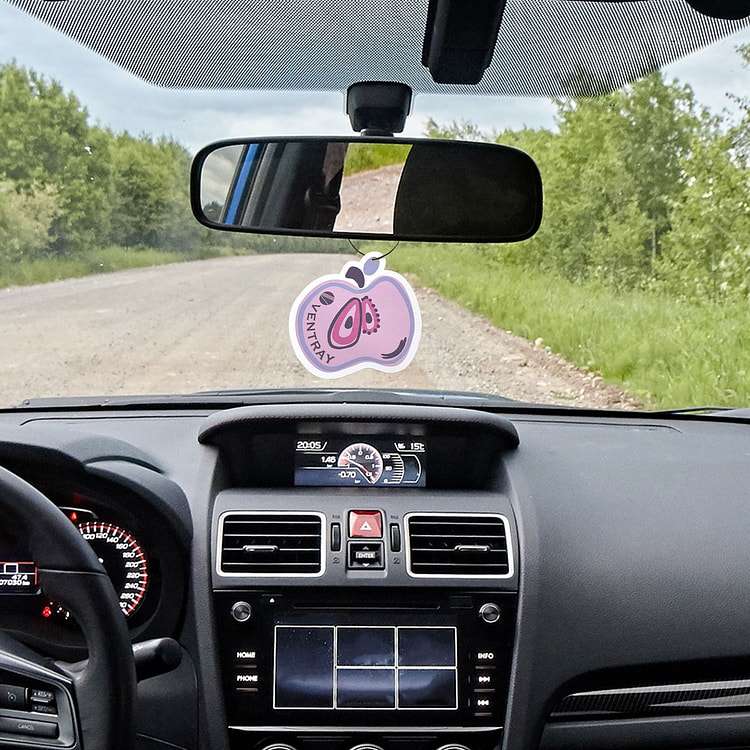 Ventray Car Ornament Hanging, Customized fragrance Car Freshies - Apple