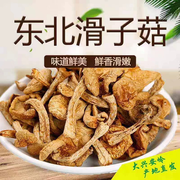 长白山滑子蘑干货250g*1袋 小鸡炖蘑菇食材