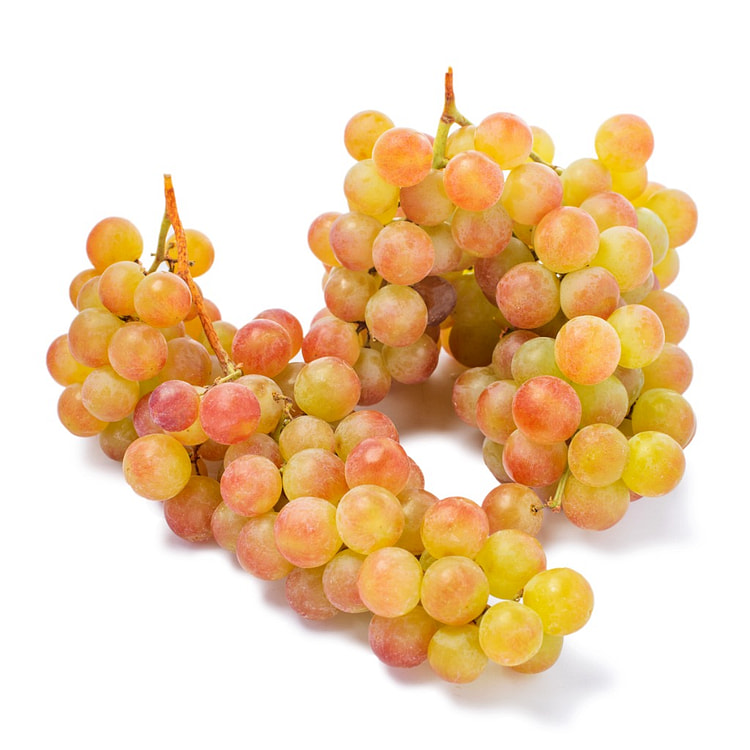 Muscat Grapes