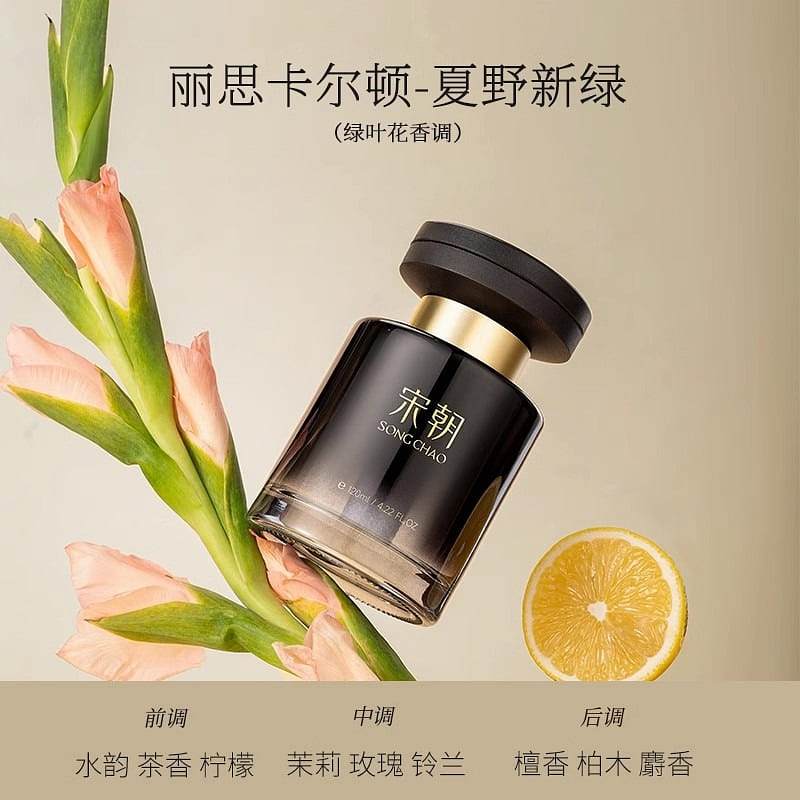 Song Dynasty Dark Night Car Diffuser 2024 New Car Perfume 120ml/bottle// 120 ml