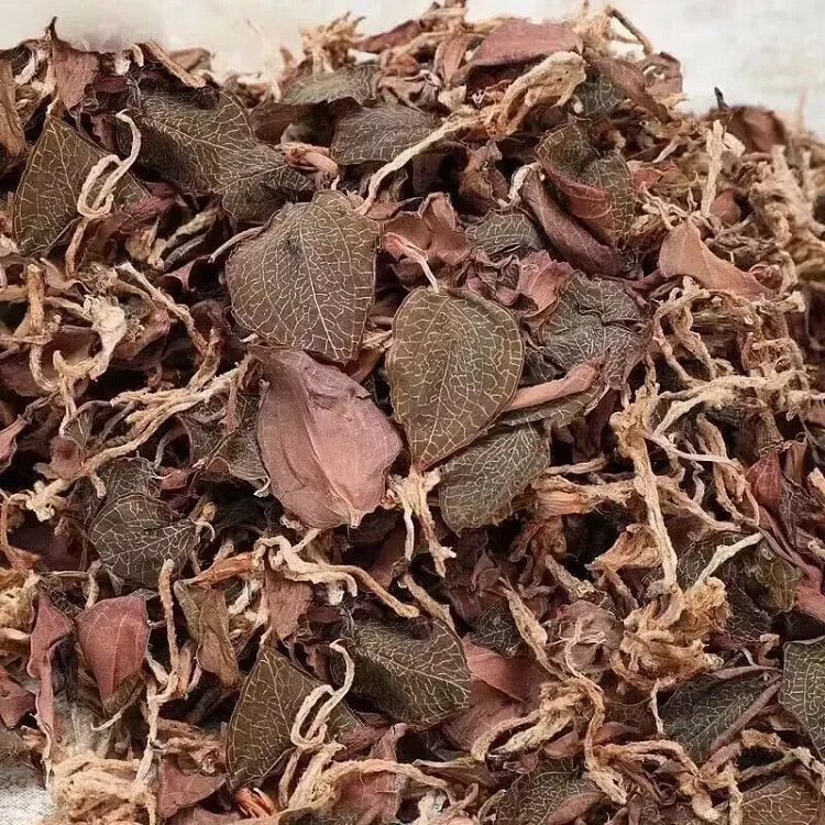 Dried Jin Xian Lian rhizomes, stems, and leaves fo 55 g
