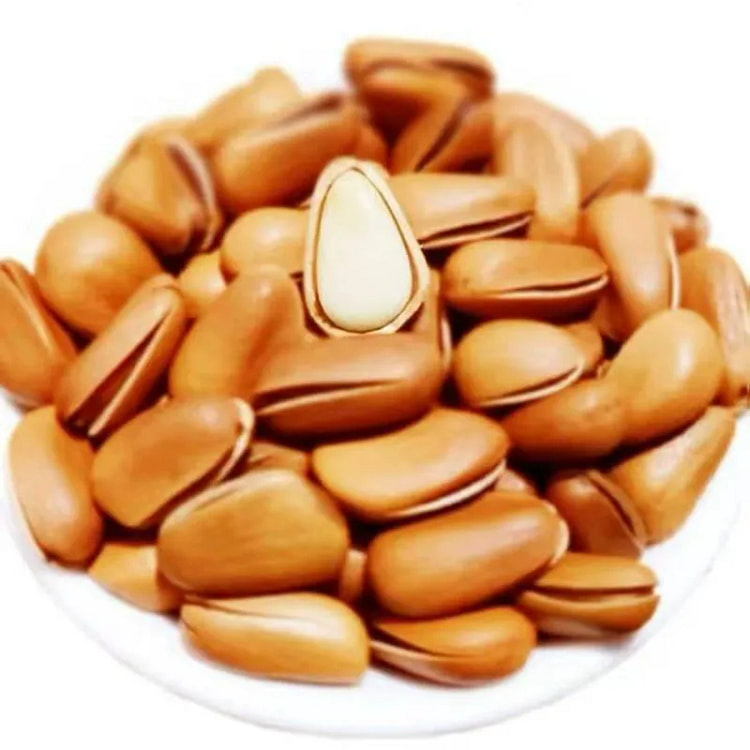 东北大松子250g*1罐 250 克