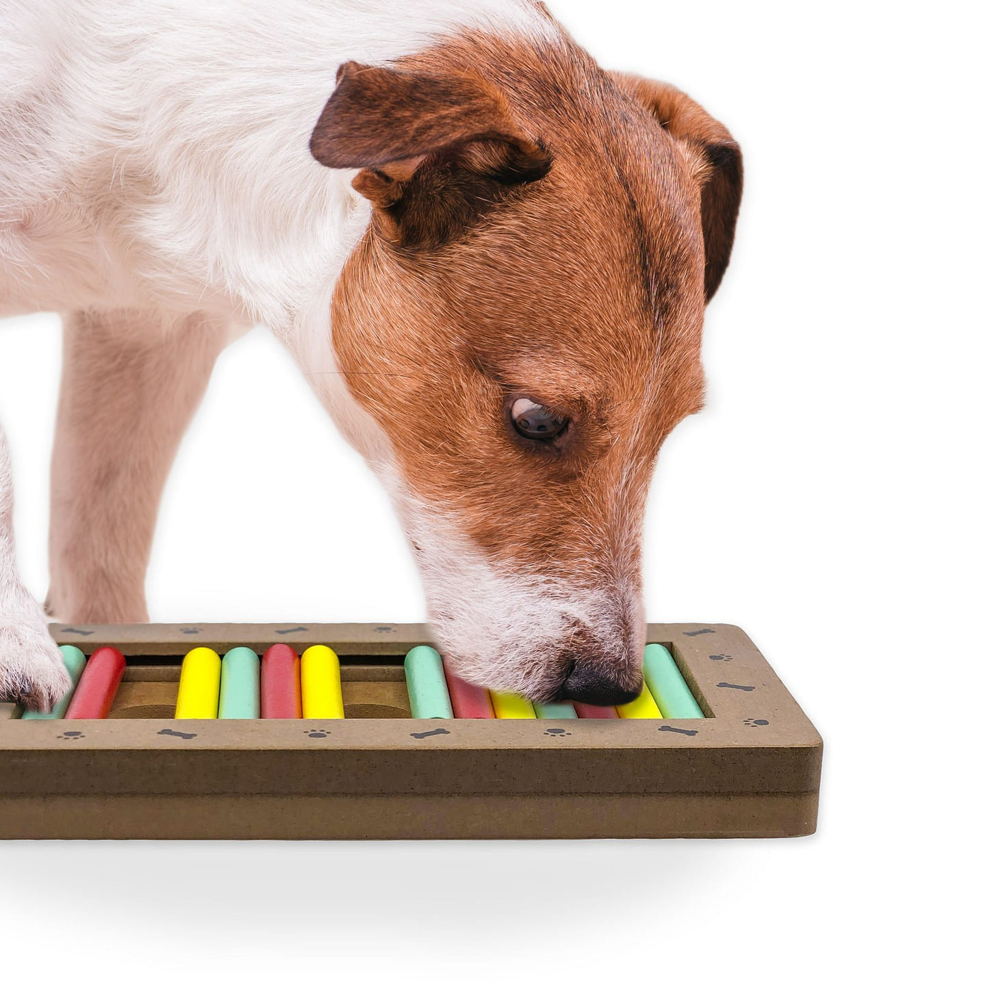 Brainiac Rollie-Pollie Treat Dispensing Pet Toy 1 each