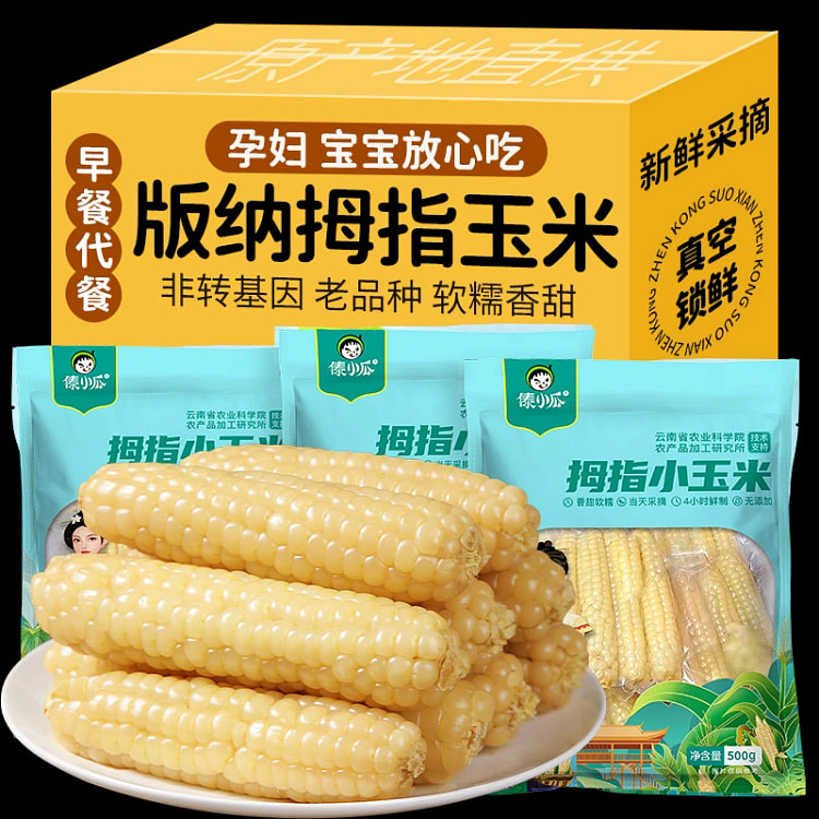 正宗云南西双版纳香糯拇指玉米8-10根