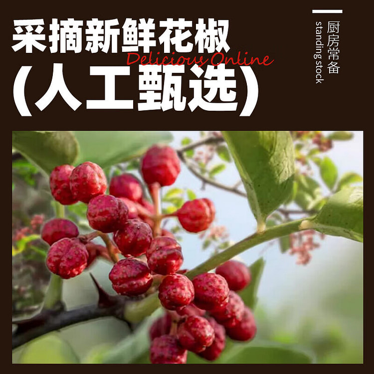 Fresh pepper chili Guizhou dipping extra Spicy 250 g