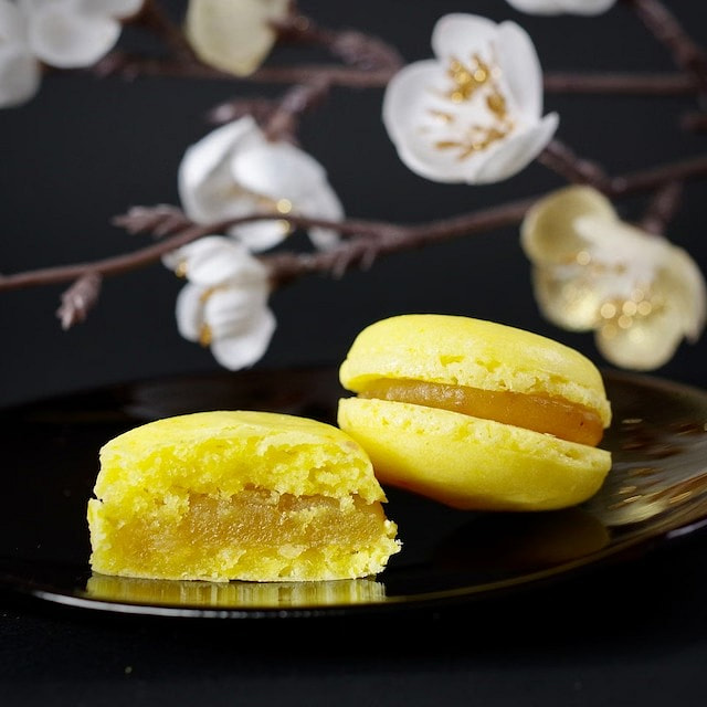 Japanese Macaron Yuzu 1 case
