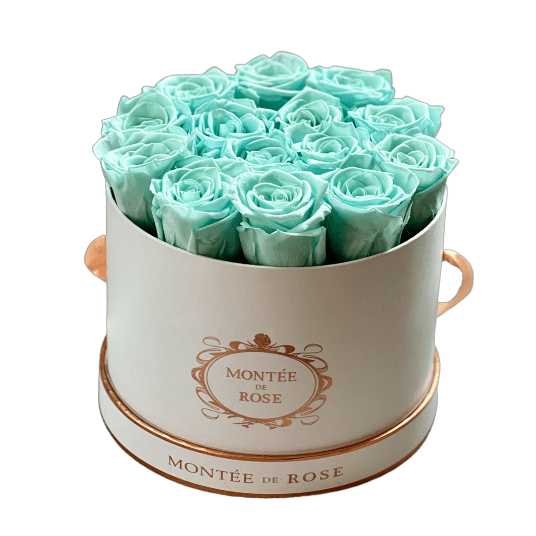 White Medium Round Mint 1 each