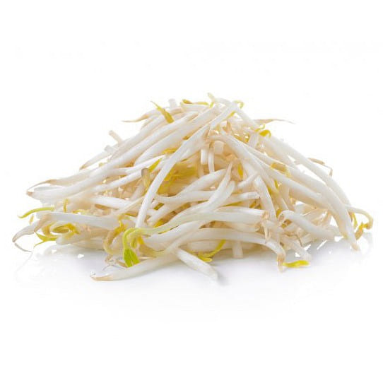绿豆芽 16 盎司