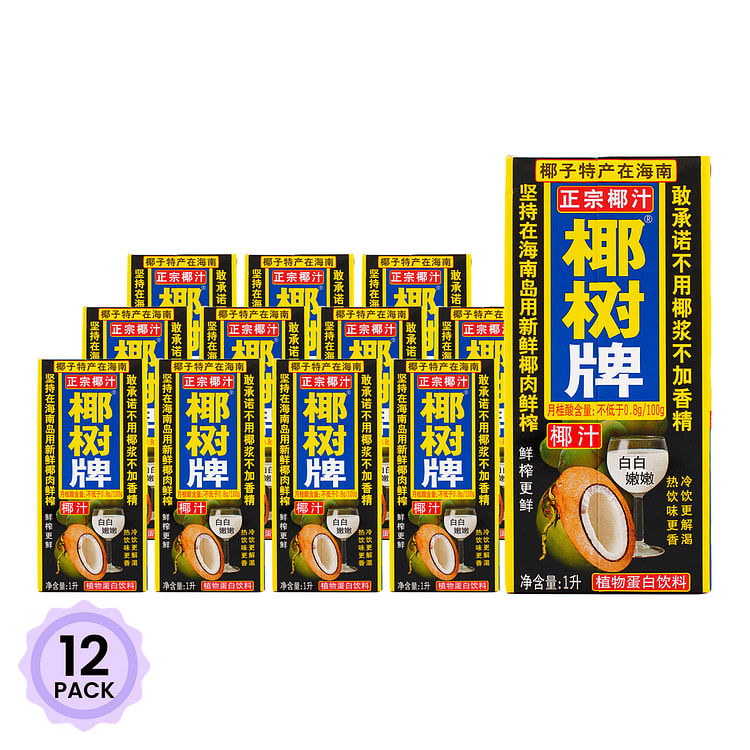 椰树牌 椰汁 1000 毫升*12 包