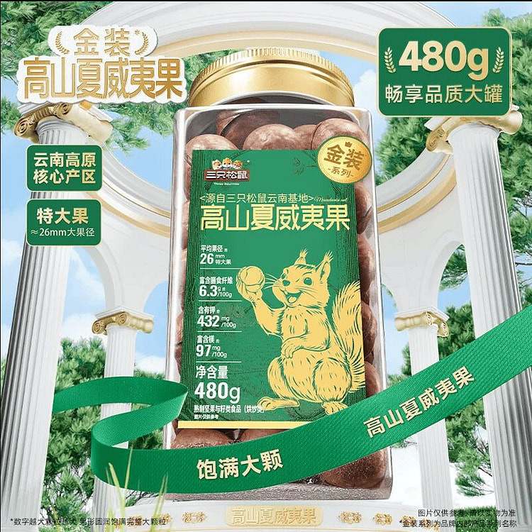 三只松鼠金装高山夏威夷果480g*1罐 480 克