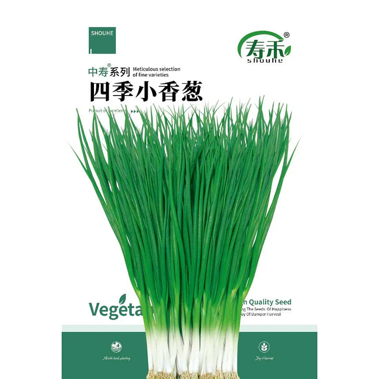 自种蔬菜种子 四季小香葱籽8g*3袋