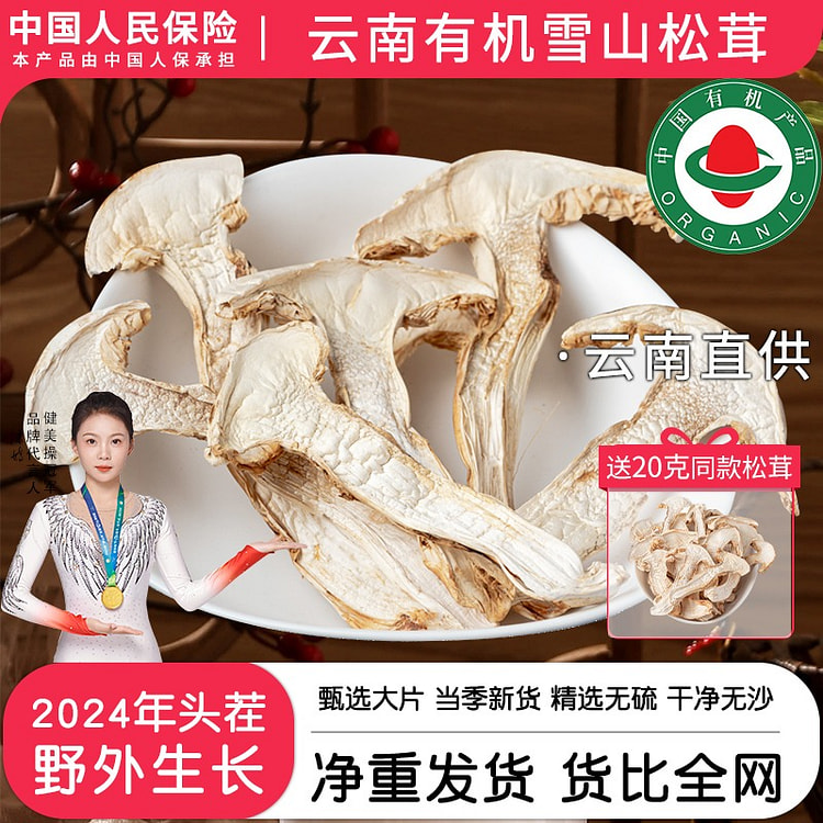 云南雪山 野生松茸 干货 精选新鲜菌菇松茸菇1袋
