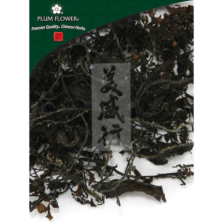 Hai Zao, unsulfured Sargassum pallidum herb