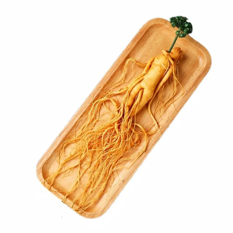 瑞琪奥兰人参长白山人参20g*1 20 克