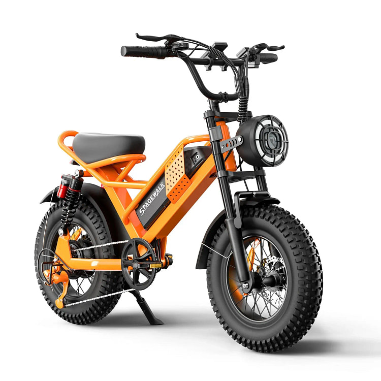 SpaceWalk M6 Electric Bike 750W Pear Power 56 Mile 1 box