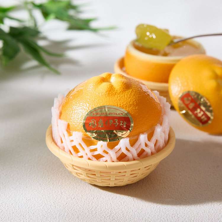 Fruits a la Mode Japanese Orange