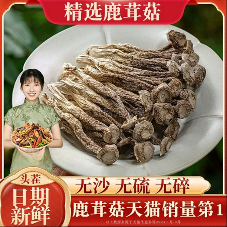 珊初物鹿茸菇