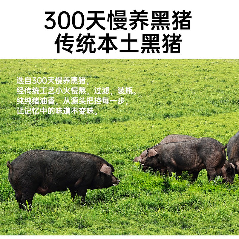 300 days of slow cultivation Pu Jian black dolphin by 300 g