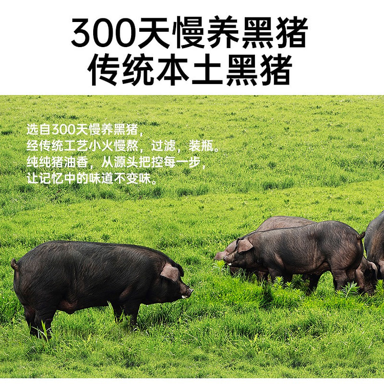 【300天慢养】璞匠 黑豚由