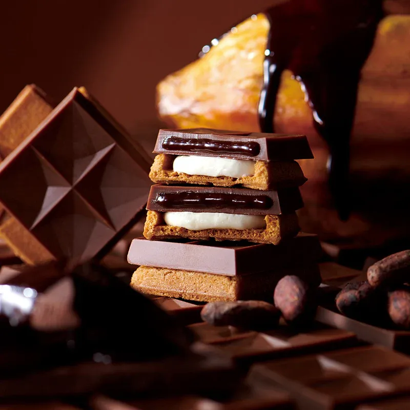 PRESSBUTTERSAND Butter Sand Caramel w Chocolate 1 케이스