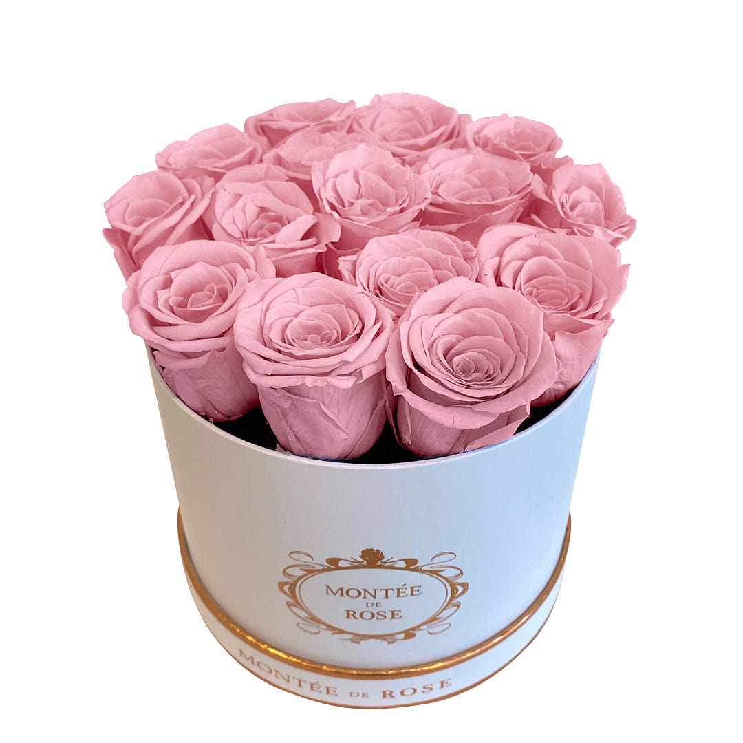 White Medium Round Bright Pink 1 each