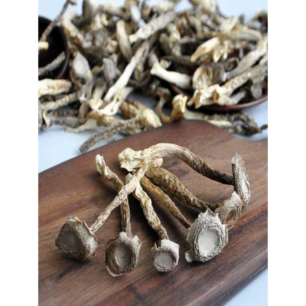 鹿茸　200g Kawasaki SAE 10W40 4 Cycle ATV Engine Motor Oil, 2 Quarts Pack