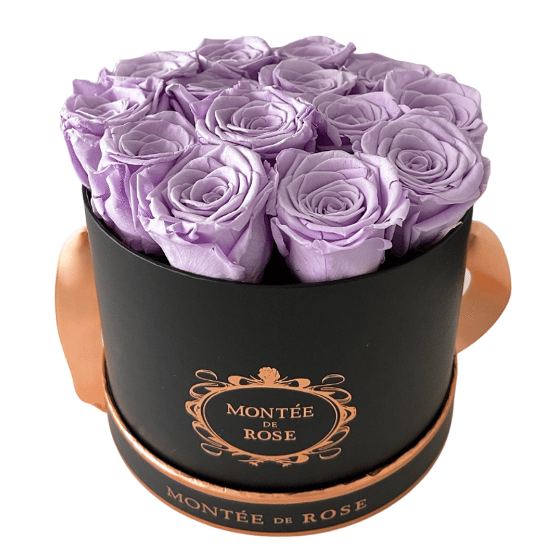 Black Medium Round Light Purple 1 each