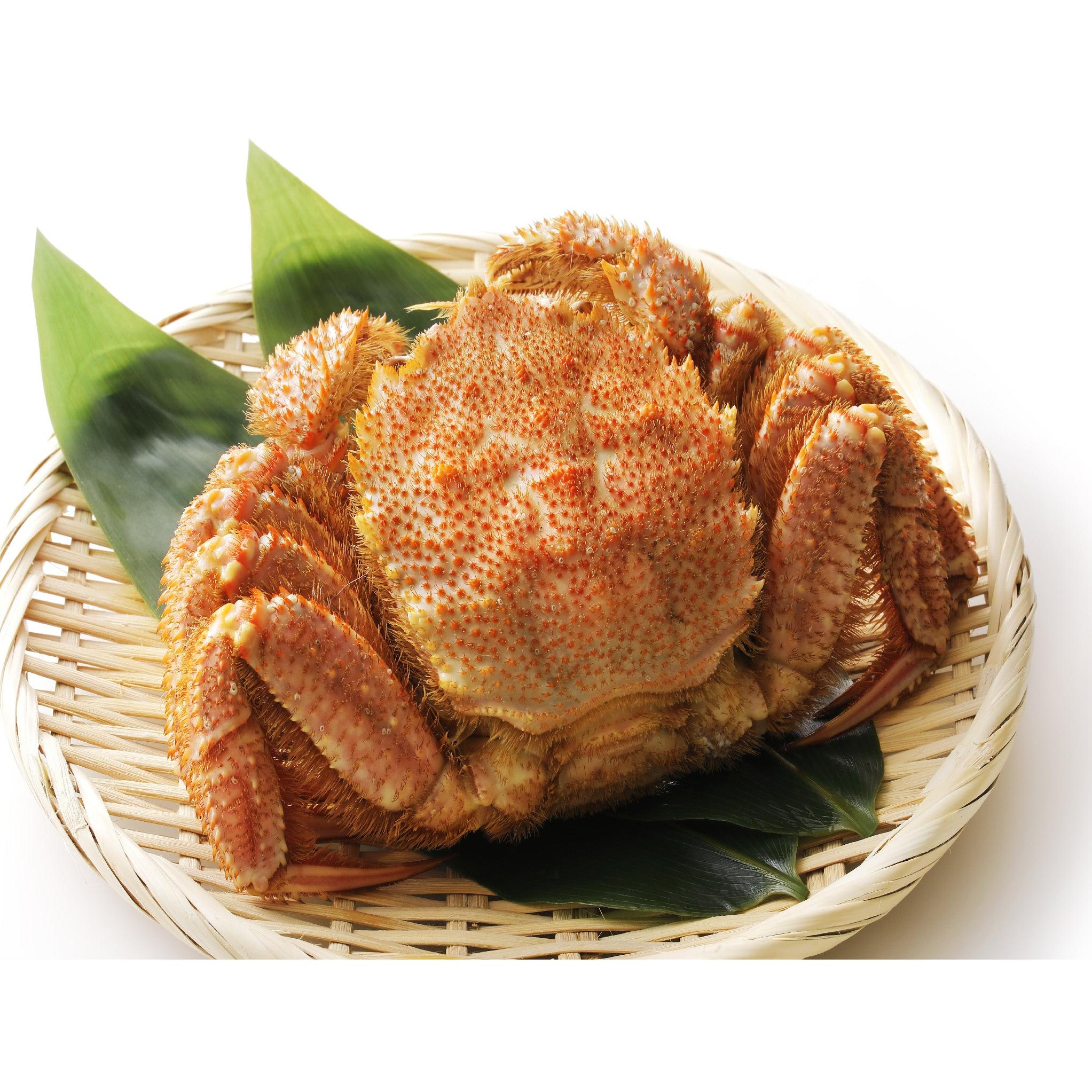 Cua Lông Kegani Hokkaido 500g 1 phần