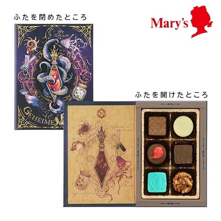 ナハトラビュリント ゲハイメ・メディチーン(秘薬) 6個入【メリーチョコレート】 1 箱