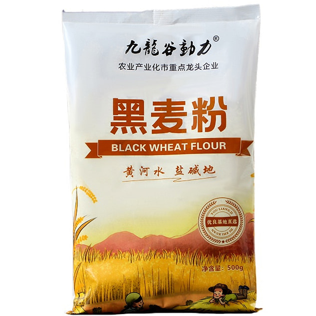 九龙谷动力 黑全麦面粉纯全麦面粗粮杂粮粉 500g*1袋装