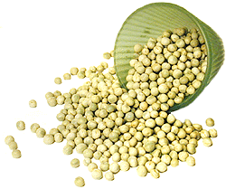 Nirav Green Whole Peas (Green Vatana) – 2 lbs 2 lb