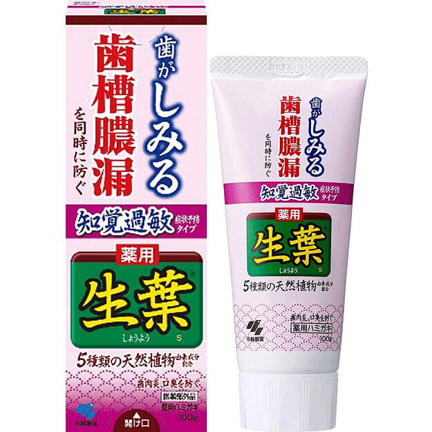 KOBAYASHI Leafy Natural Toothpaste Red 100 g