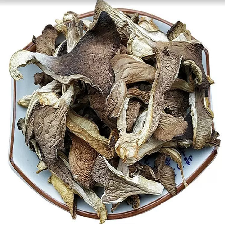 优质鲍鱼菇100g*1袋